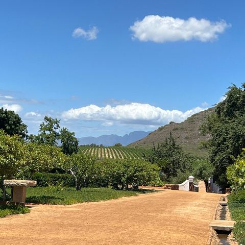 View from Babylonstoren