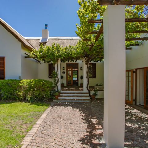 Front garden path under the vines